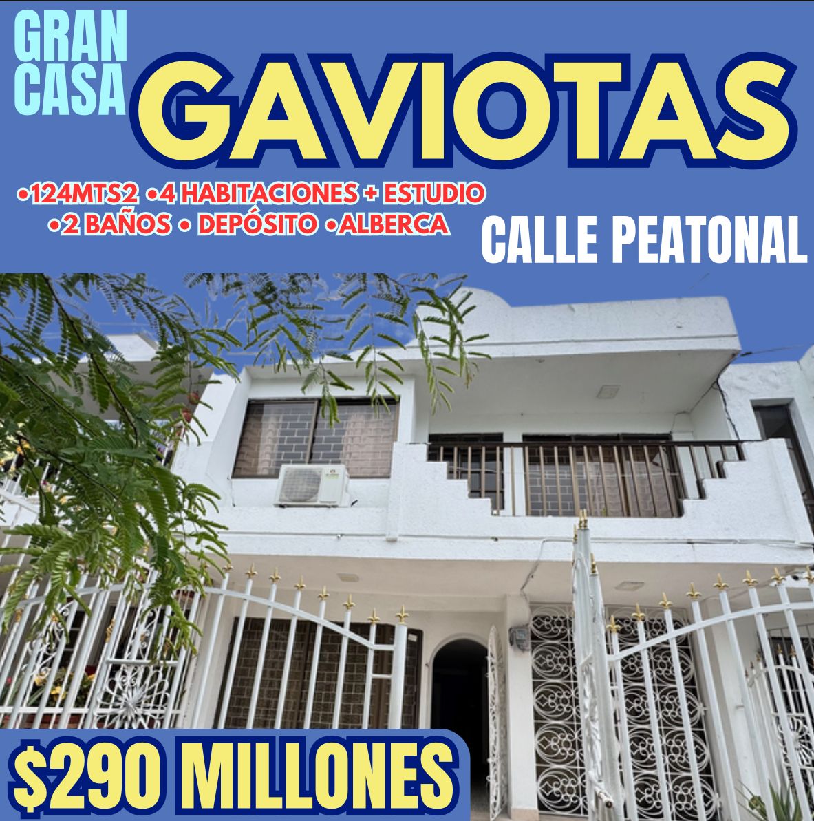 GRAN CASA EN LAS GAVIOTAS