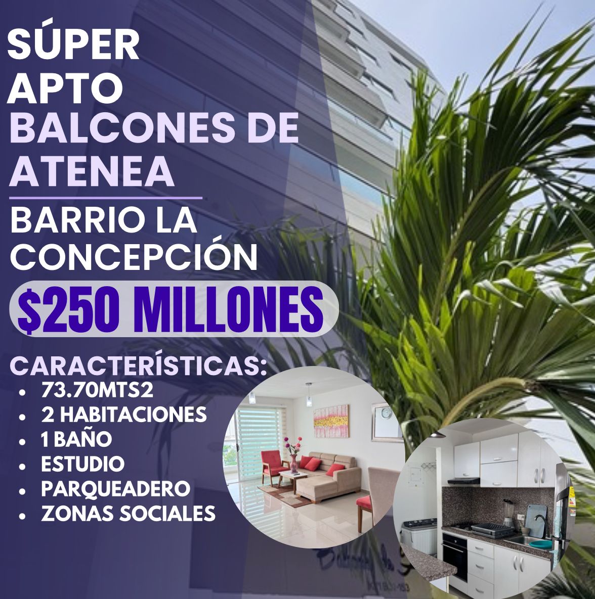 APTO EN BALCONES DE ATENEA EN LA CONCEPCIÓN