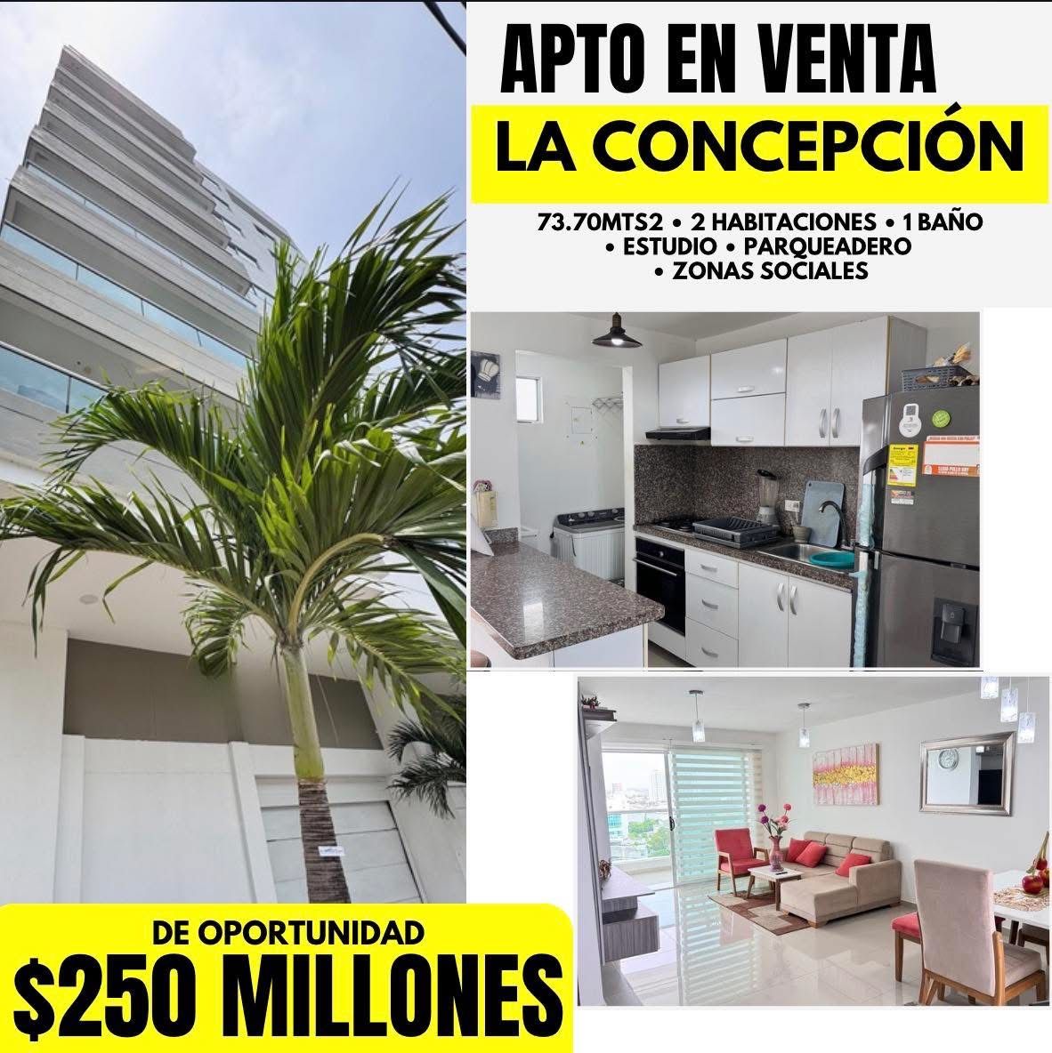 APTO EN LA CONCEPCIÓN APTO EN LA CONCEPCIÓN