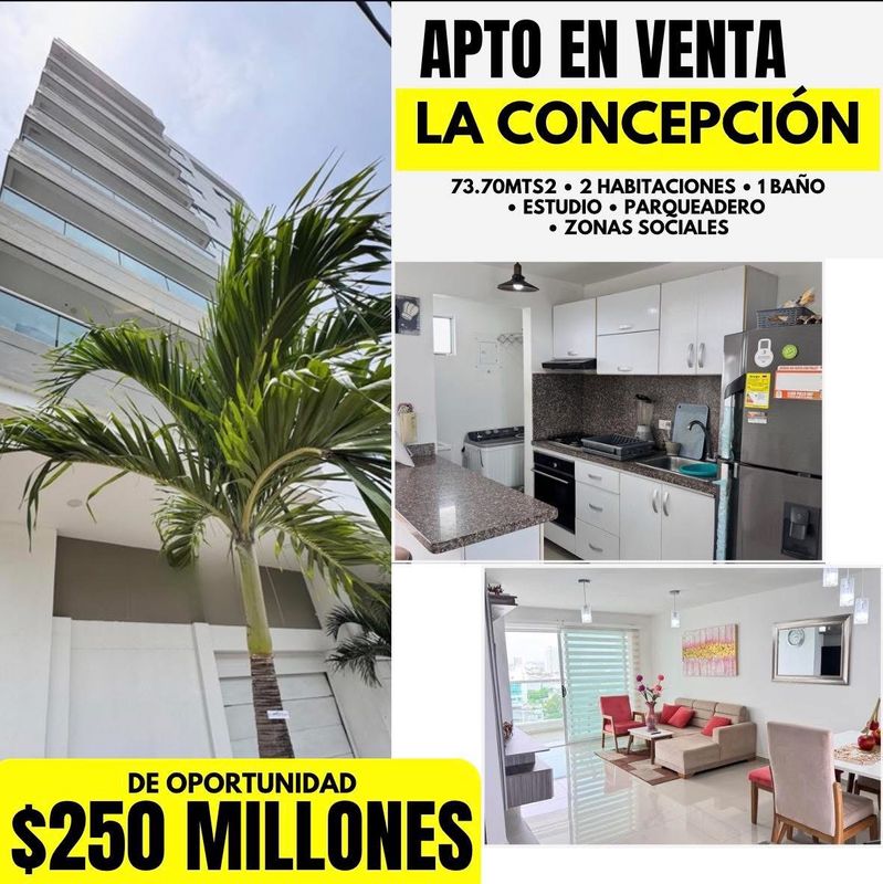 APTO EN LA CONCEPCIÓN