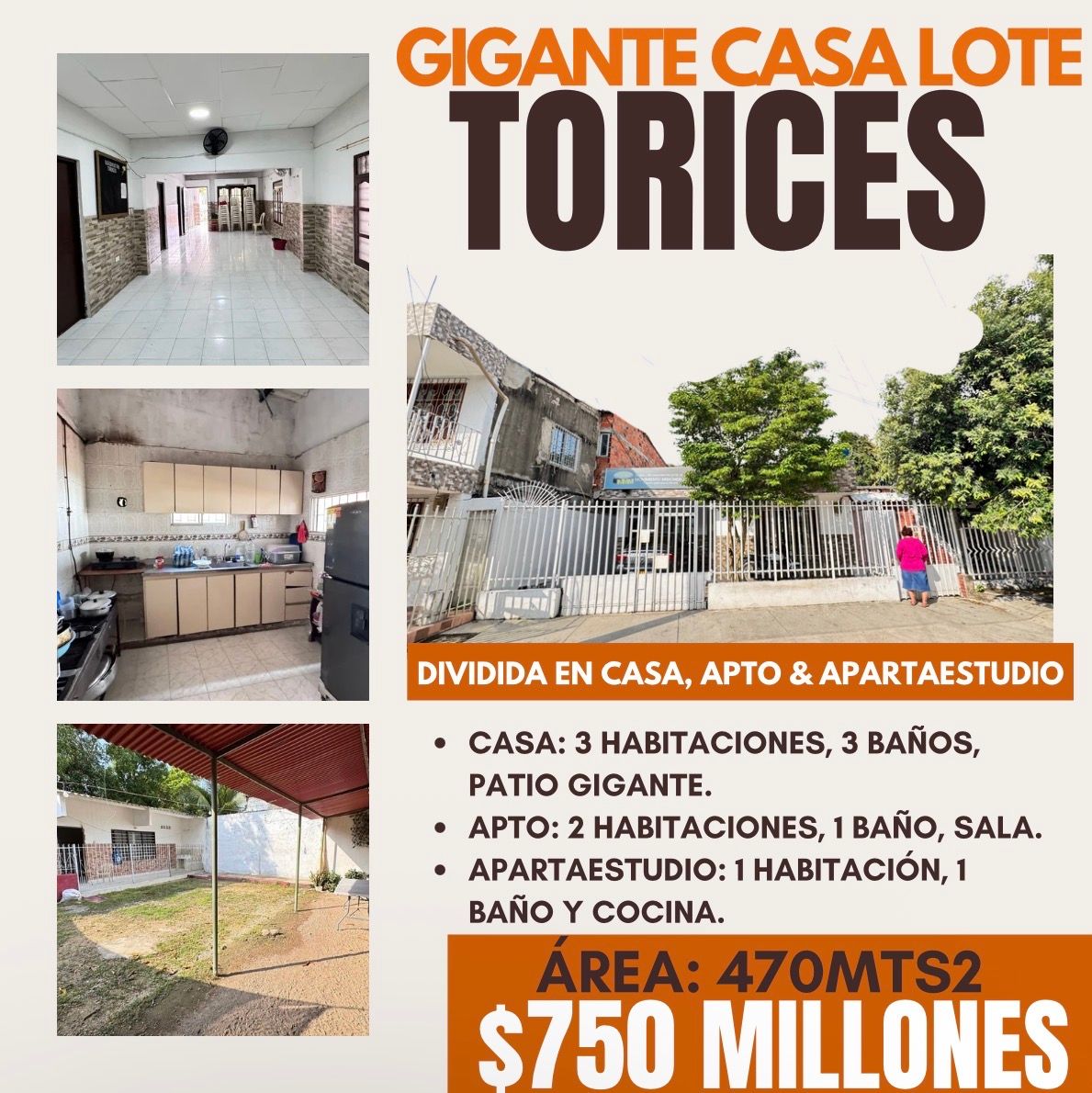 GIGANTE CASA LOTE EN TORICES