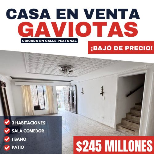 CASA EN LAS GAVIOTAS