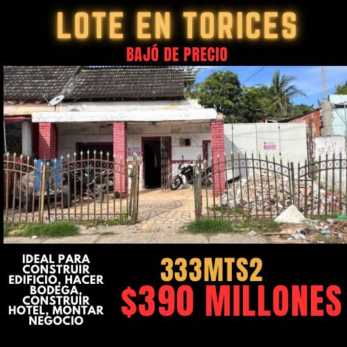 VENTA DE LOTE EN TORICES