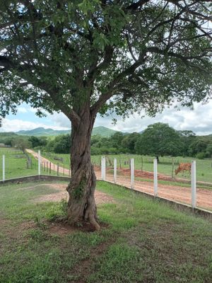 Lotes, fincas y propiedades campestres