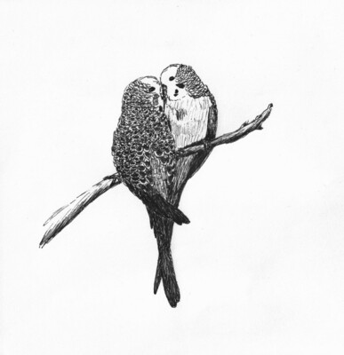 KJÆRLIGHET PÅ PINNE - 16 x 20 cm