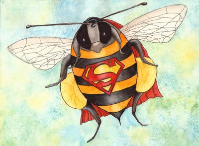 SUPERBIE - 15 x 20 cm