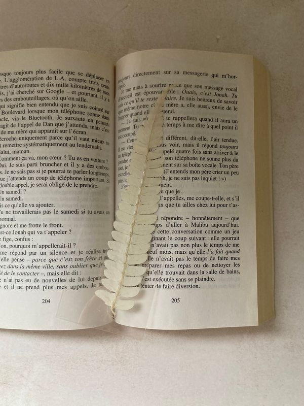 Marque page feuilles naturelle 🌾