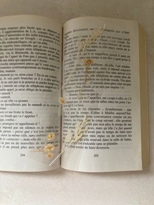 Marque page fleurs séchées 🌾