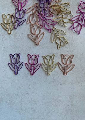 Trombones tulipes 🌷