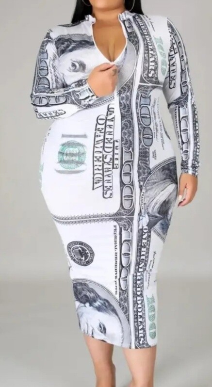 Dollar Print Dress