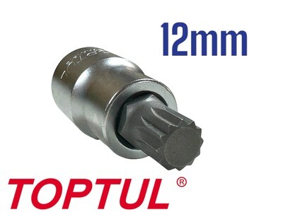 M12 Spline Socket 1/2&quot; Drive