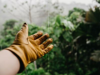 Gardening and Riggers Gloves