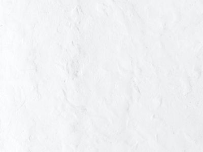 Paint Brushes