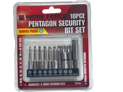 10 PC Pentagon Security Bit Set