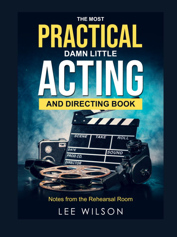 The Most Practical Damn Little Acting and Directing Book: Notes from the Rehearsal Room by Lee Wilson