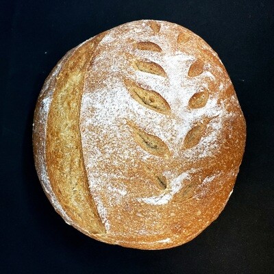 Whole Wheat Sour Dough Bread