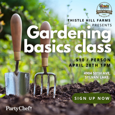 Gardening Basics - Spring Veggies