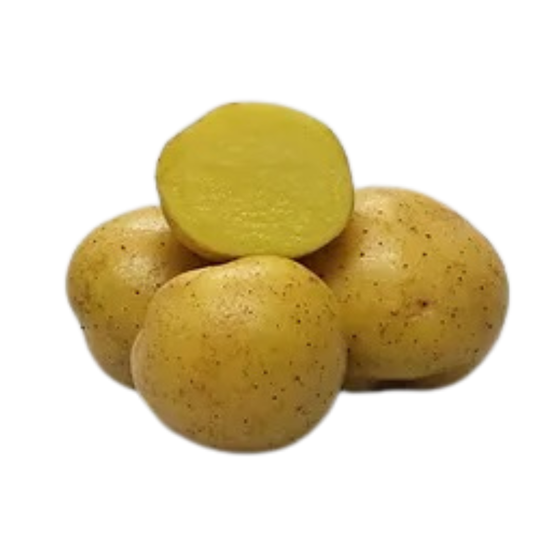 Yellow Columba Potatoes