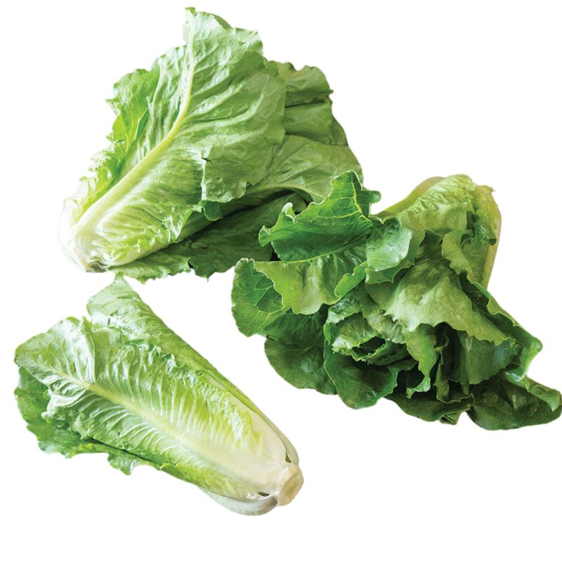 Hidden Valley Romaine Lettuce