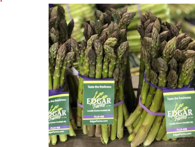 Fresh Asparagus Bunch