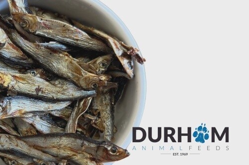 DAF - DRIED SPRATS - 100G