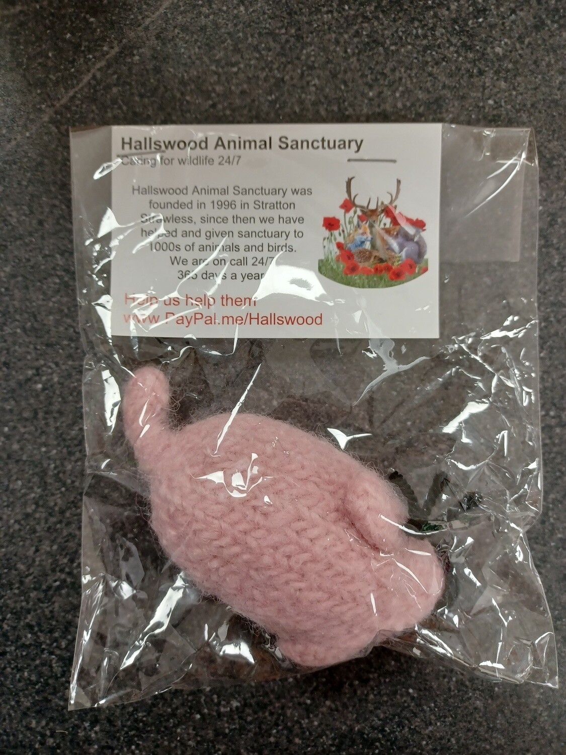 Catnip Mouse