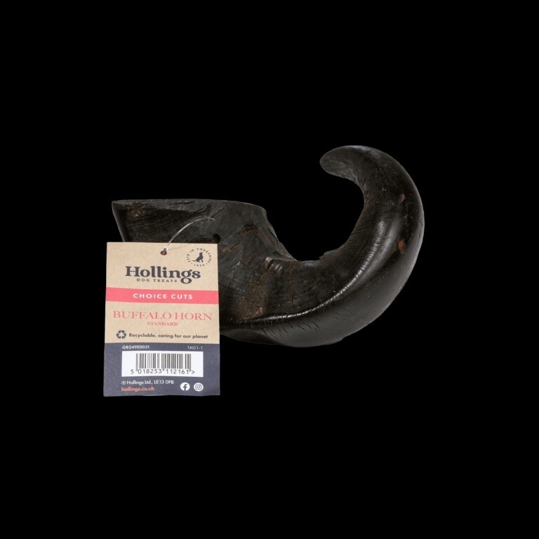 Hollings Buffalo Horn