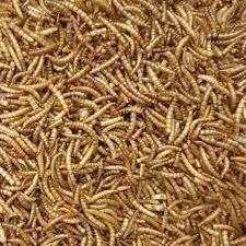 Mealworms 132g