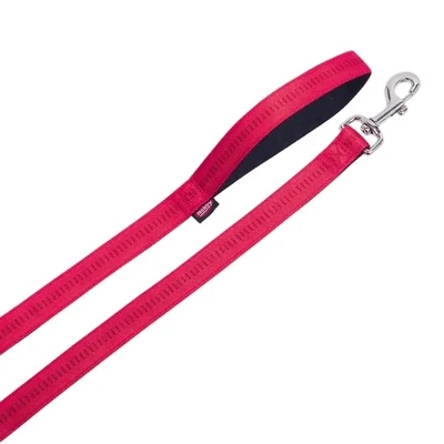 Leads