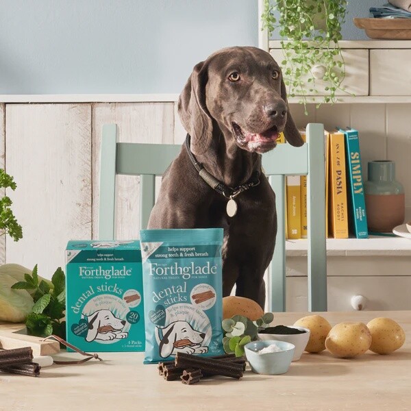 Forthglade Dental Sticks