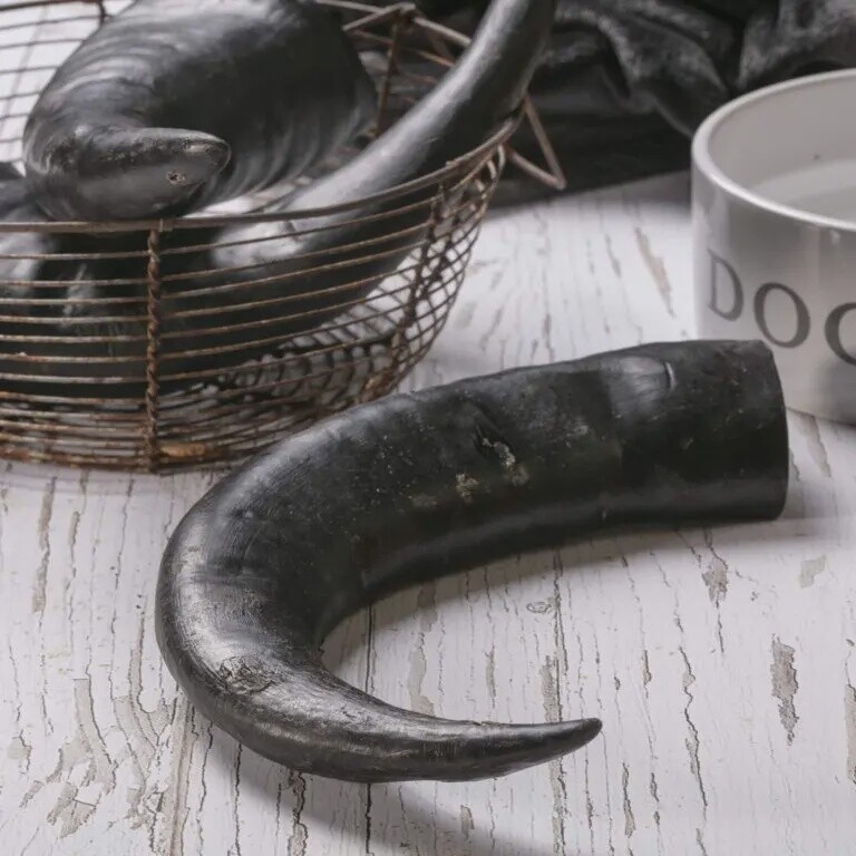 Buffalo Horn Jumbo