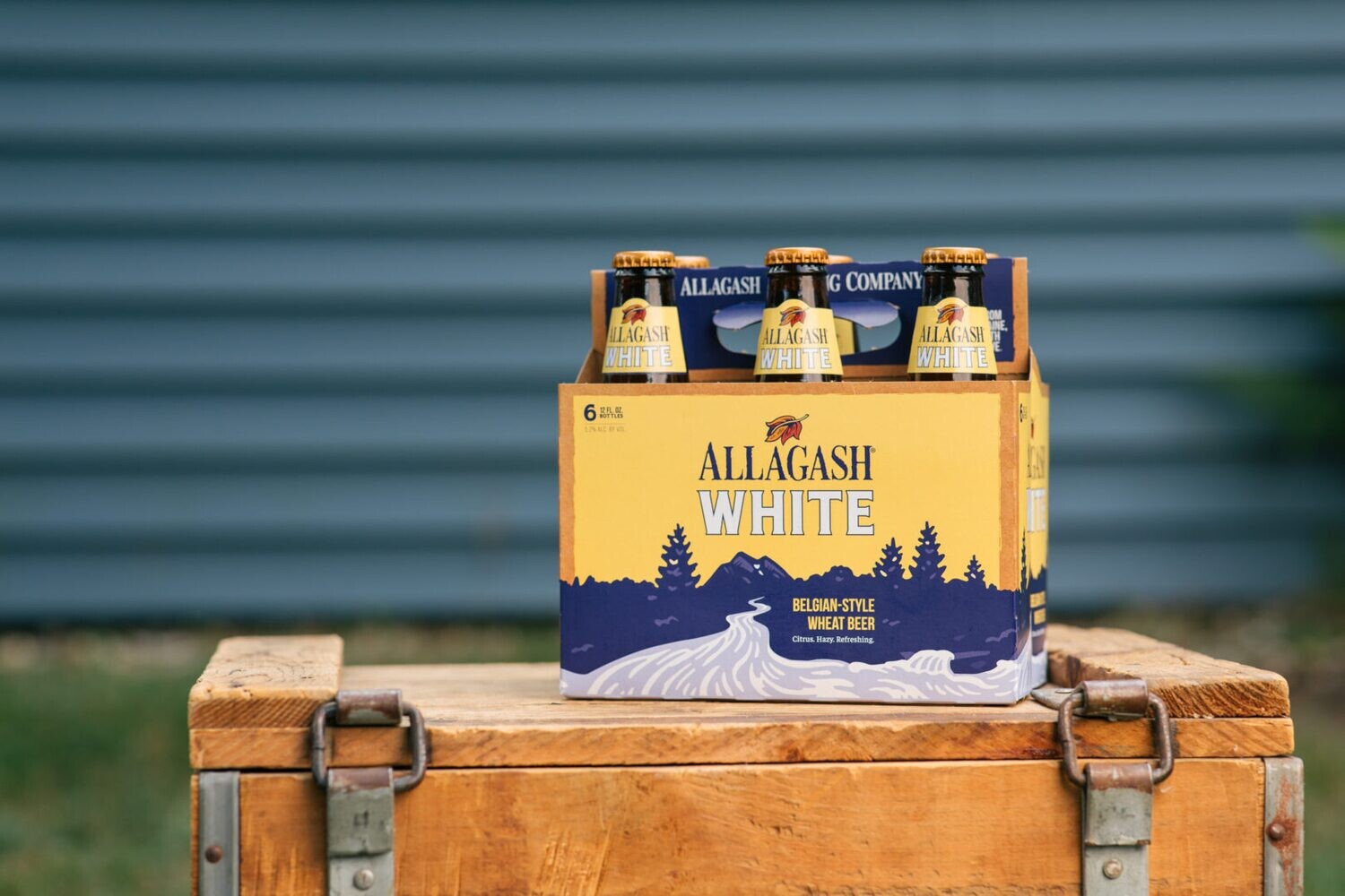ALLAGASH WHITE ALE 6PK NR