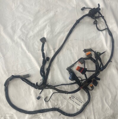 Wiring Harness-2005 Dyna Glide FXD Wiring Harness-2005 Dyna Glide FXD