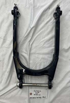 Swingarm 2019 Harley Sportster XL883N