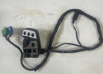 Left Handlebar Controls-2001 Honda Goldwing GL1800A