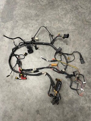 Wiring Harness-2000 Ducati Monster M750D