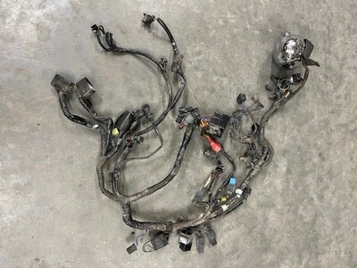 Wiring Harness-Triumph Speedmaster