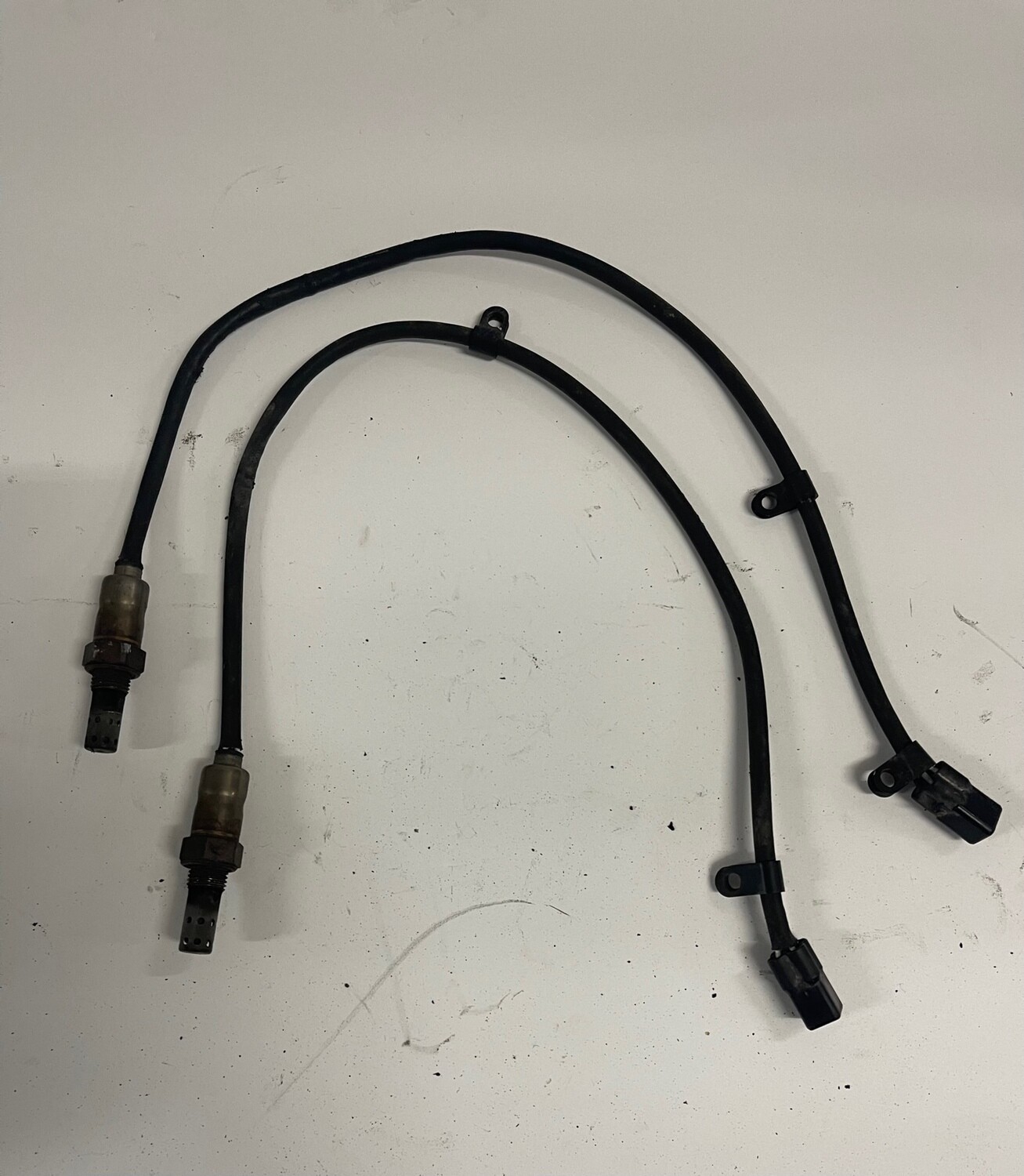 O2 Sensors-Triumph Speedmaster