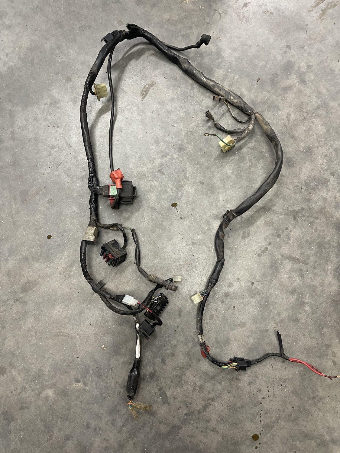 Wiring Harness-2000 Honda CB750 Nighthawk