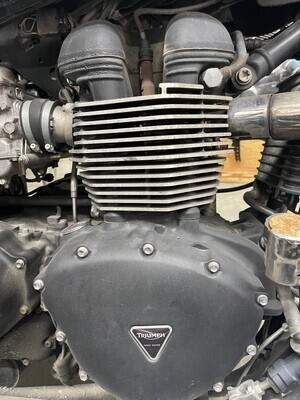 Triumph Engines