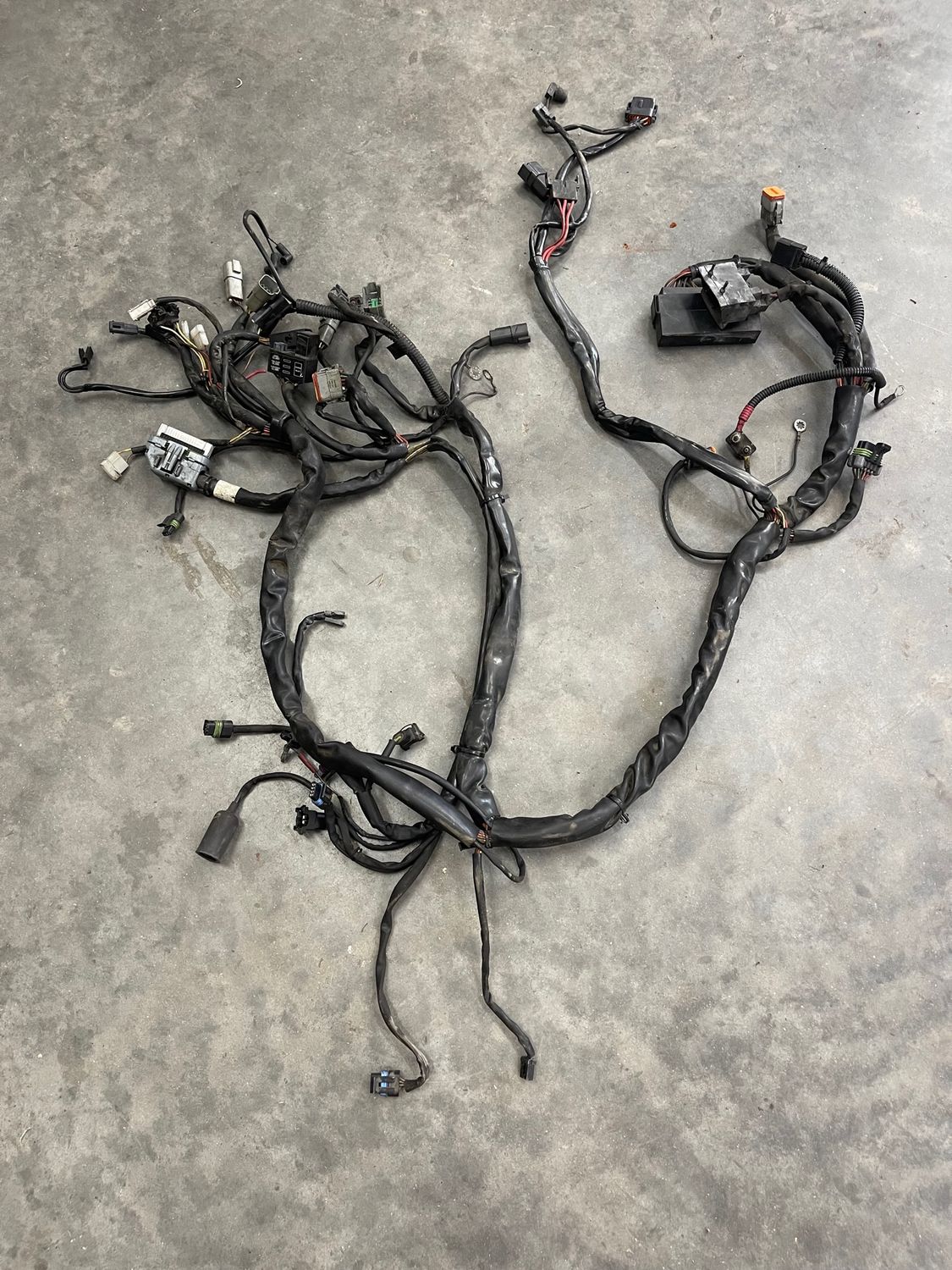 Wiring Harness--Pulled from a 2003 Harley-Davidson FLHRCI Road King Classic Anniversary