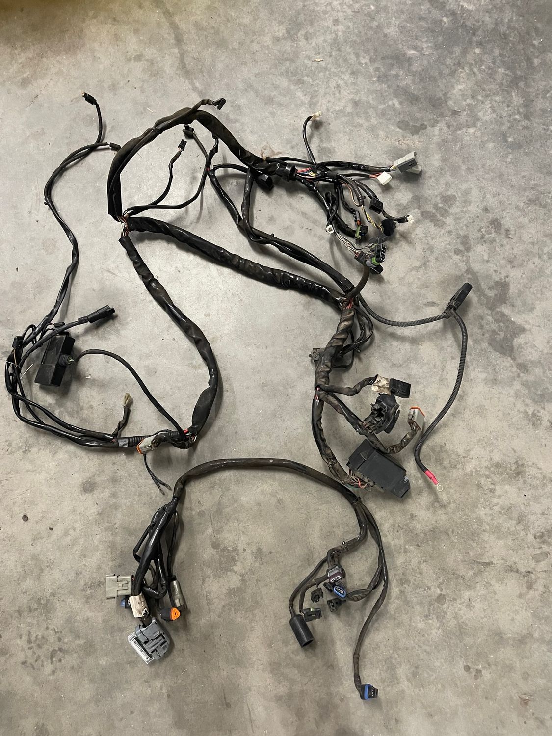 Wiring Harness 70245-04A--2005 Harley-Davidson Road King Custom FLHRSI