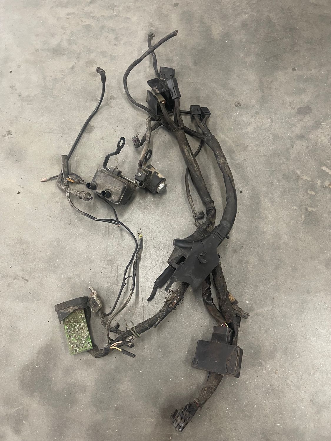 Wiring Harness for Parts Only--2006 Harley Davidson Sportster XL1200C