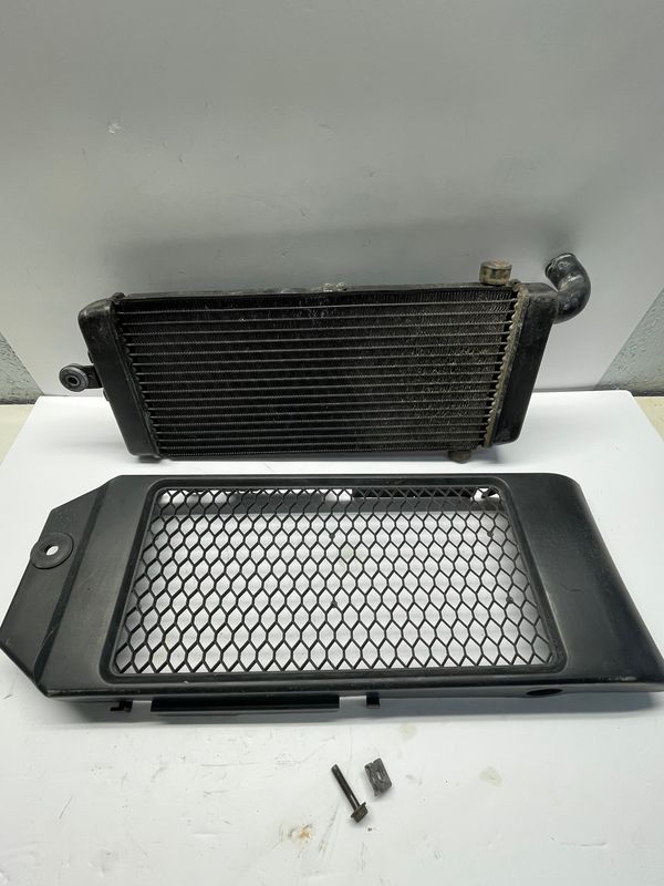 Radiator w/ Cover Guard 19010-MEG-901/19032-MEG-000--2006 Honda Shadow VT750