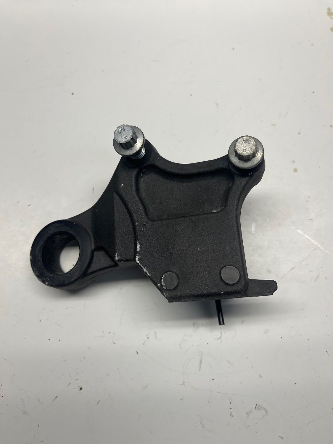 Rear Brake Caliper Mounting Bracket--  2019 Harley Sportster XL883N