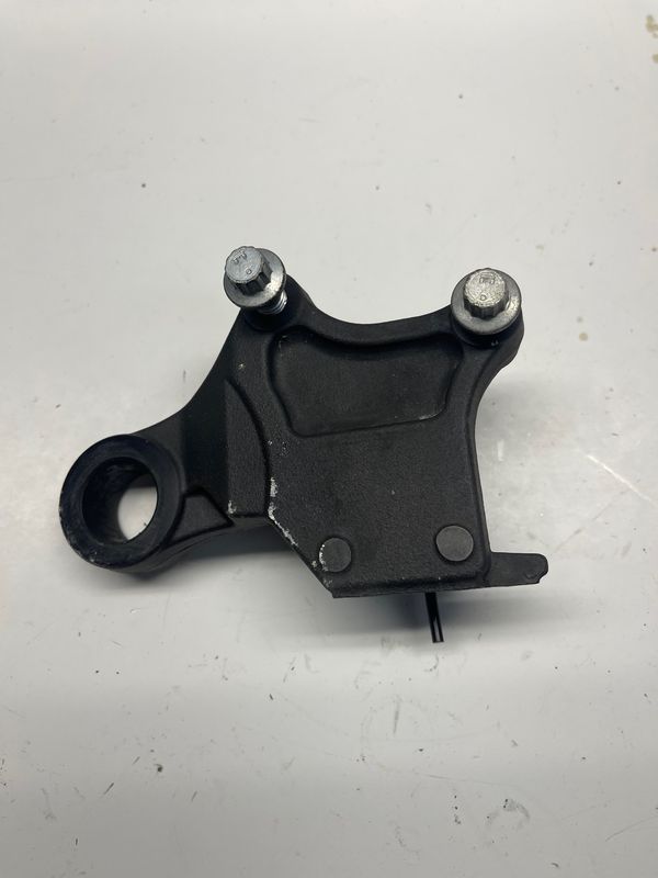 Rear Brake Caliper Mounting Bracket--  2019 Harley Sportster XL883N