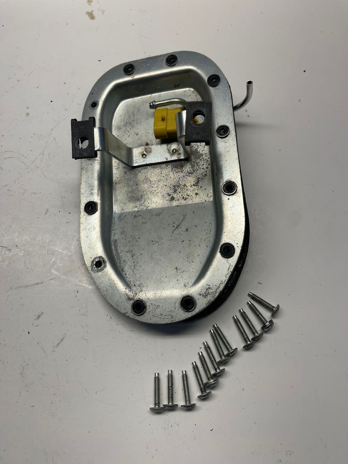 Fuel Pump Top Cover Plate--2010 Harley-Davidson Dyna Wide Glide FXDWG