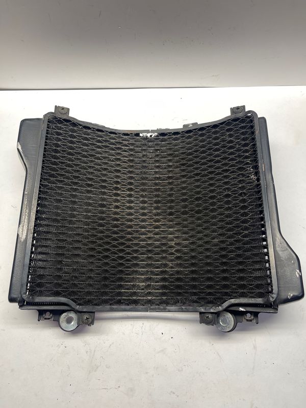 Radiator 39060-1116--2001 Kawasaki ZX1100 D