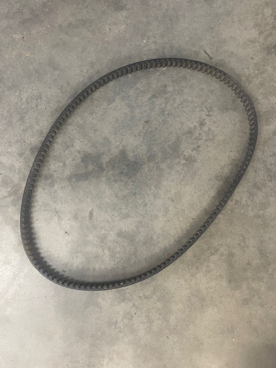 Drive Belt Falcon 133T 1 1/2"--2003 Harley-Davidson Dyna Wide Glide FXDWG