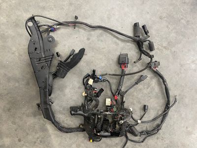 Wiring Harness--2020 Harley-Davidson Sportster XL883